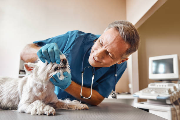 Best Emergency Care for Gum Disease in Cuero, TX